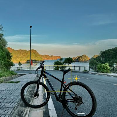 MTB Bike Rental